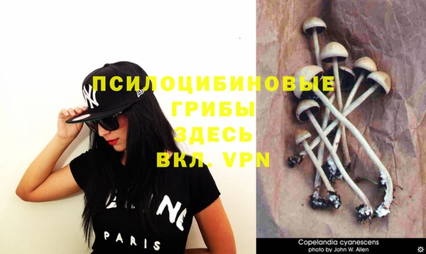 кокаин перу Бородино